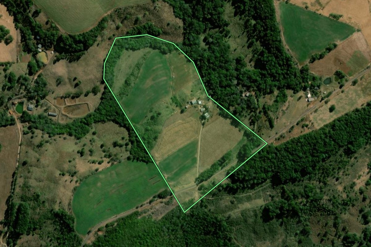 Imagem de satélite do imóvel rural em Nova Laranjeiras (PR), com o contorno declarado no CAR desenhado por cima.