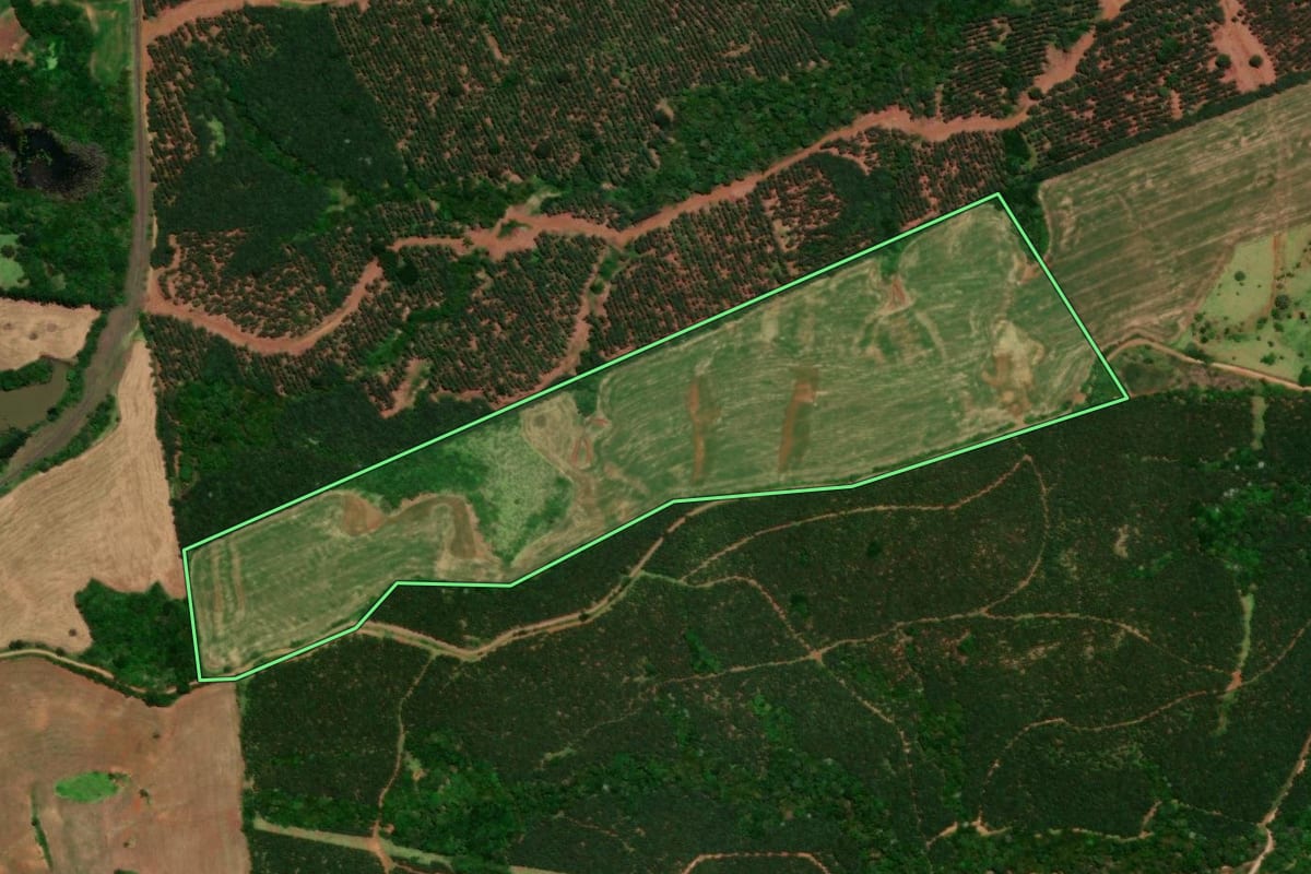 Imagem de satélite do imóvel rural em Nova Laranjeiras (PR), com o contorno declarado no CAR desenhado por cima.