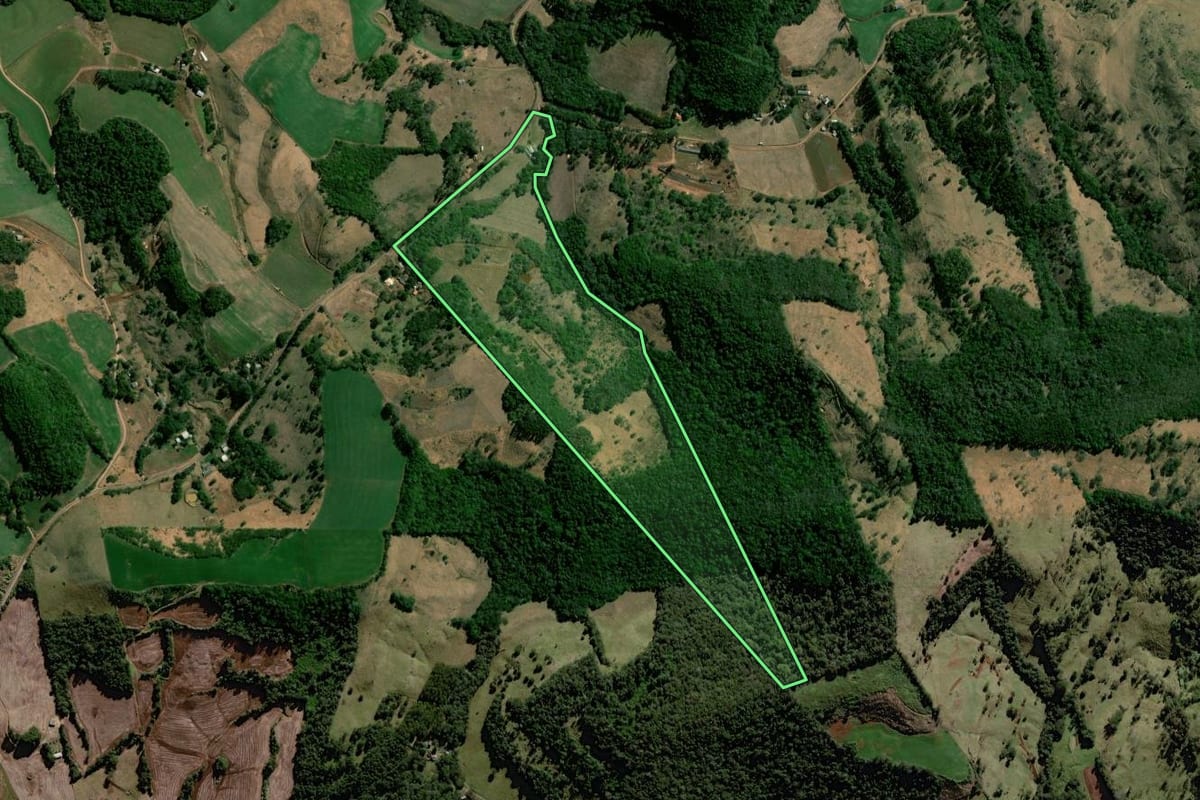 Imagem de satélite do imóvel rural em Nova Laranjeiras (PR), com o contorno declarado no CAR desenhado por cima.