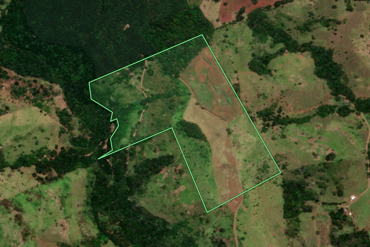 Imagem de satélite do imóvel rural em Nova Laranjeiras (PR), com o contorno declarado no CAR desenhado por cima.
