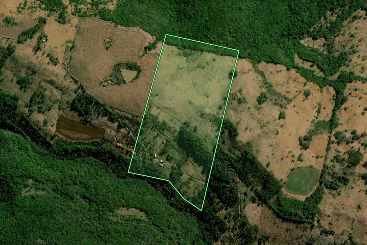 Imagem de satélite do imóvel rural em Nova Laranjeiras (PR), com o contorno declarado no CAR desenhado por cima.