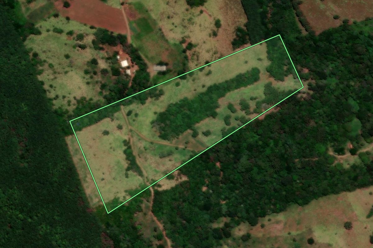 Imagem de satélite do imóvel rural em Nova Laranjeiras (PR), com o contorno declarado no CAR desenhado por cima.