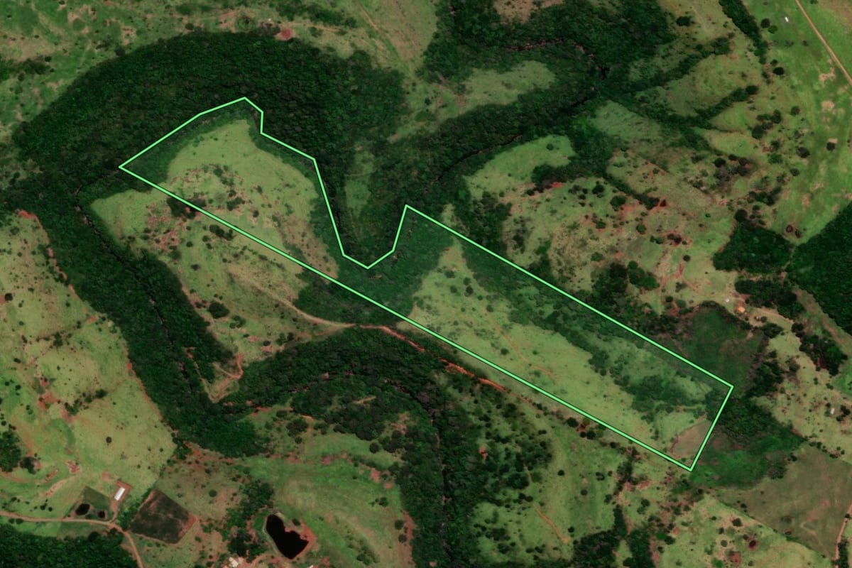 Imagem de satélite do imóvel rural em Nova Laranjeiras (PR), com o contorno declarado no CAR desenhado por cima.