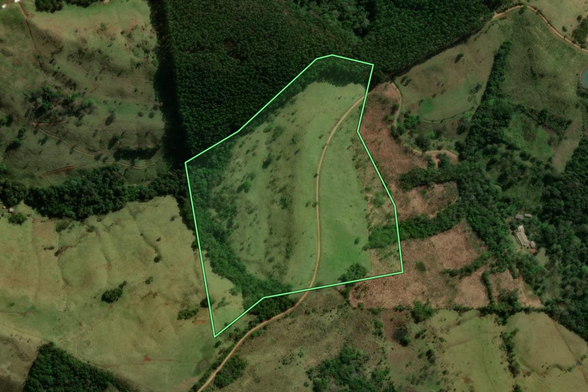 Imagem de satélite do imóvel rural em Nova Laranjeiras (PR), com o contorno declarado no CAR desenhado por cima.