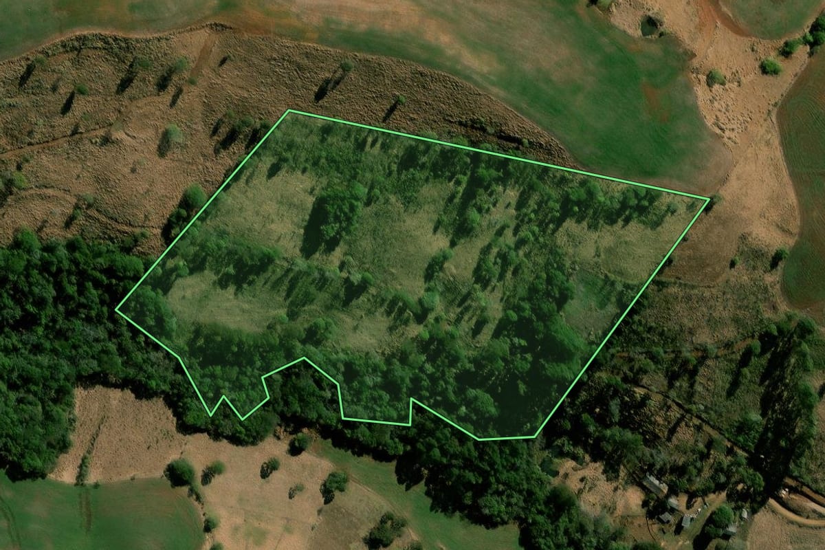 Imagem de satélite do imóvel rural em Nova Laranjeiras (PR), com o contorno declarado no CAR desenhado por cima.