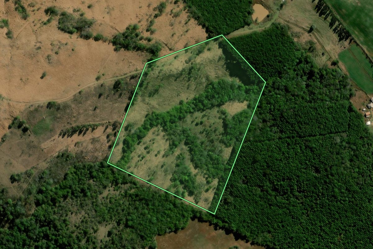 Imagem de satélite do imóvel rural em Nova Laranjeiras (PR), com o contorno declarado no CAR desenhado por cima.