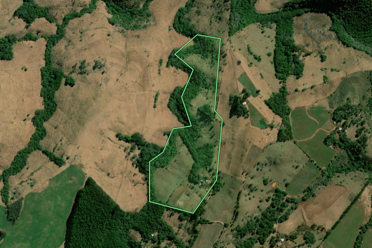 Imagem de satélite do imóvel rural em Nova Laranjeiras (PR), com o contorno declarado no CAR desenhado por cima.