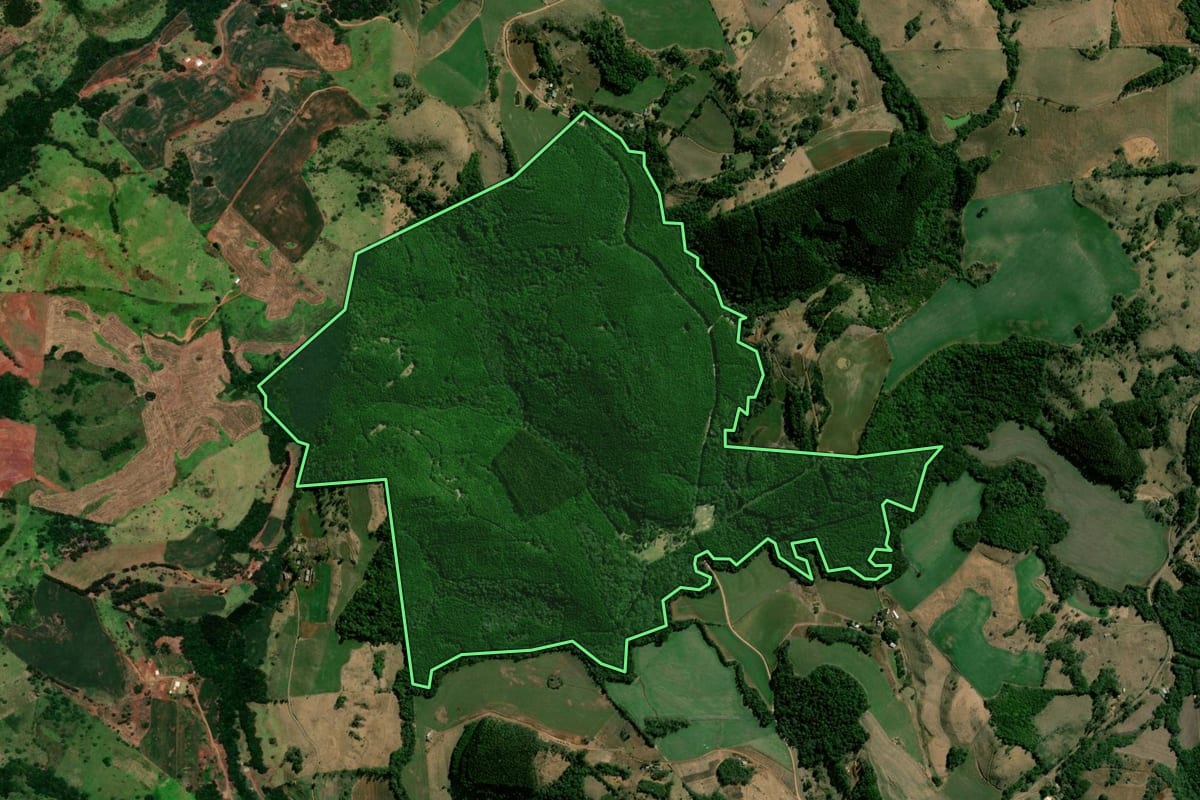 Imagem de satélite do imóvel rural em Nova Laranjeiras (PR), com o contorno declarado no CAR desenhado por cima.