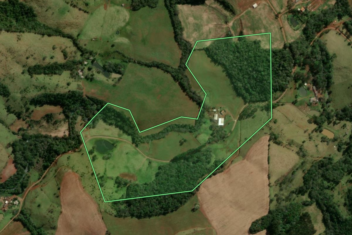 Imagem de satélite do imóvel rural em Nova Laranjeiras (PR), com o contorno declarado no CAR desenhado por cima.