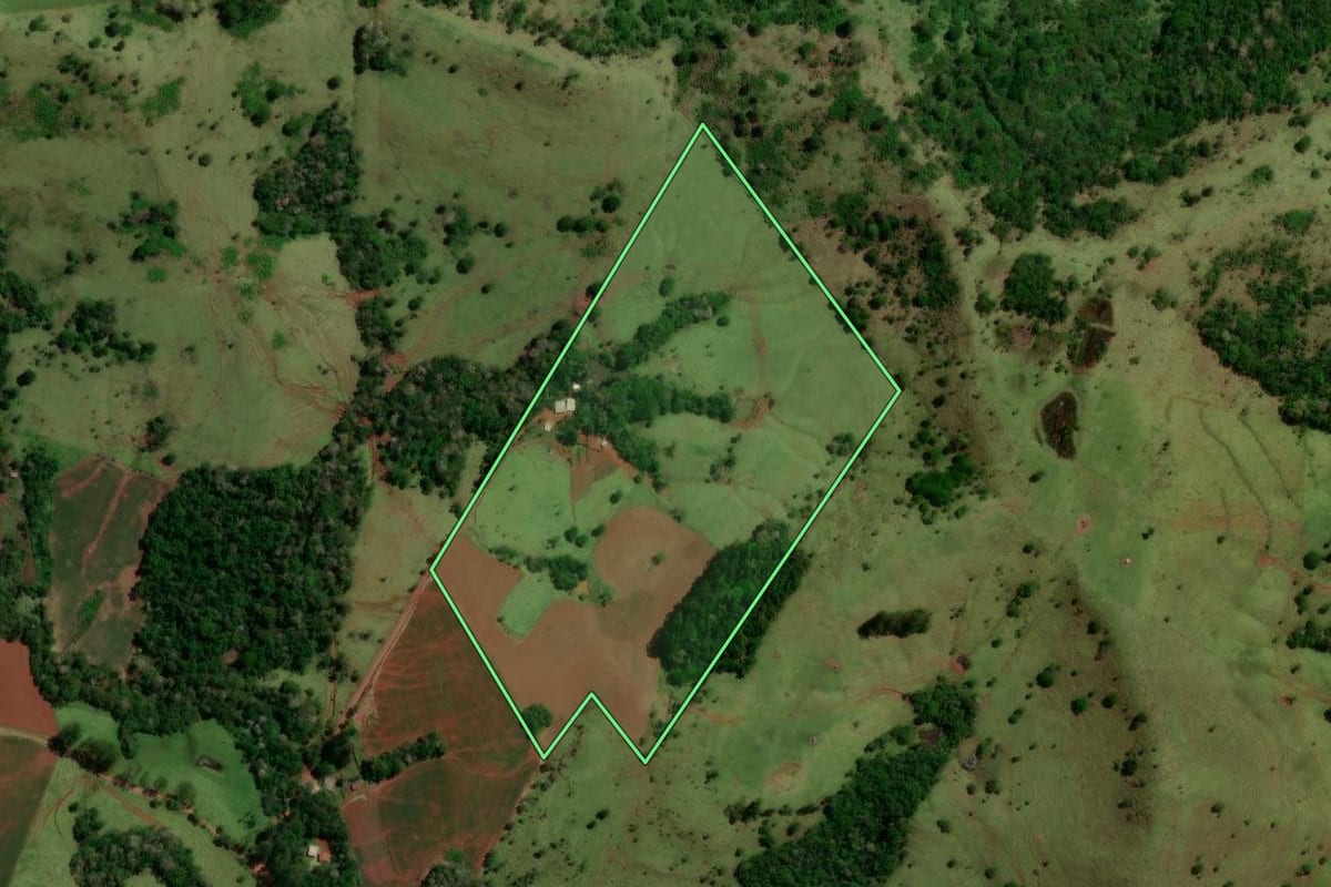 Imagem de satélite do imóvel rural em Nova Laranjeiras (PR), com o contorno declarado no CAR desenhado por cima.