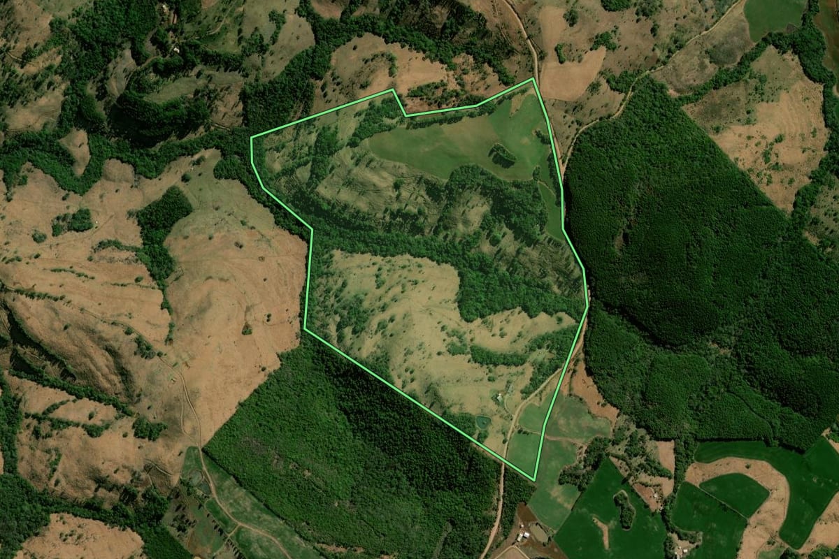Imagem de satélite do imóvel rural em Nova Laranjeiras (PR), com o contorno declarado no CAR desenhado por cima.