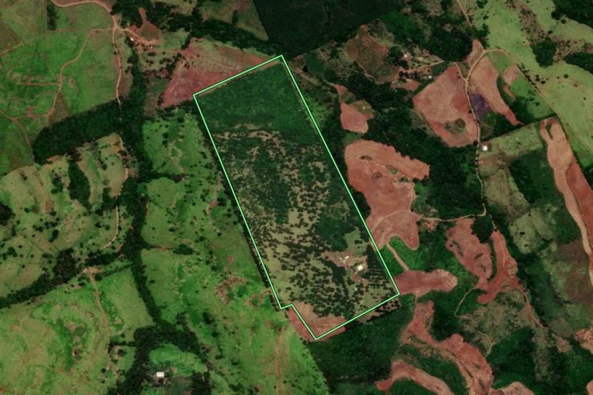 Imagem de satélite do imóvel rural em Nova Laranjeiras (PR), com o contorno declarado no CAR desenhado por cima.