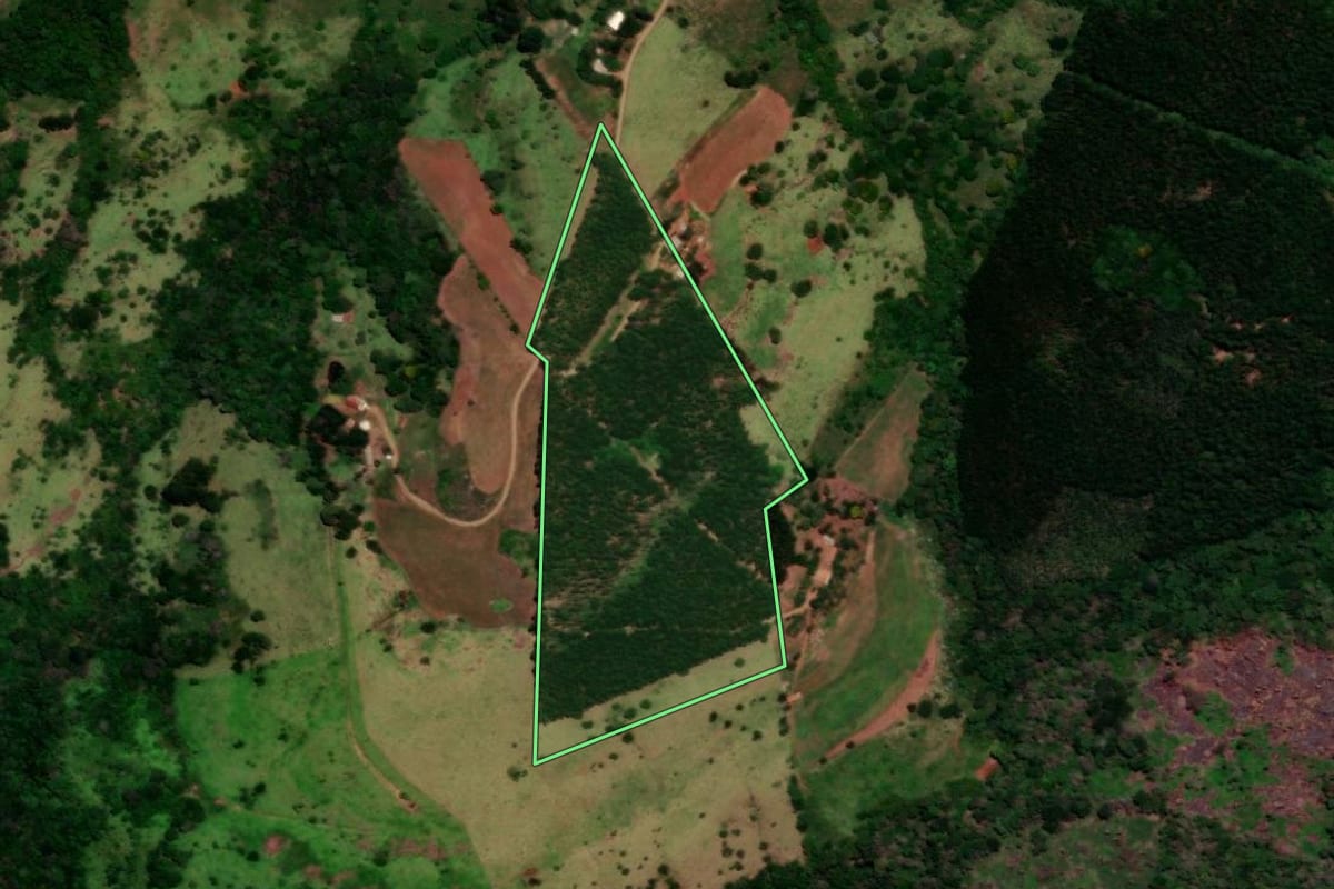 Imagem de satélite do imóvel rural em Nova Laranjeiras (PR), com o contorno declarado no CAR desenhado por cima.