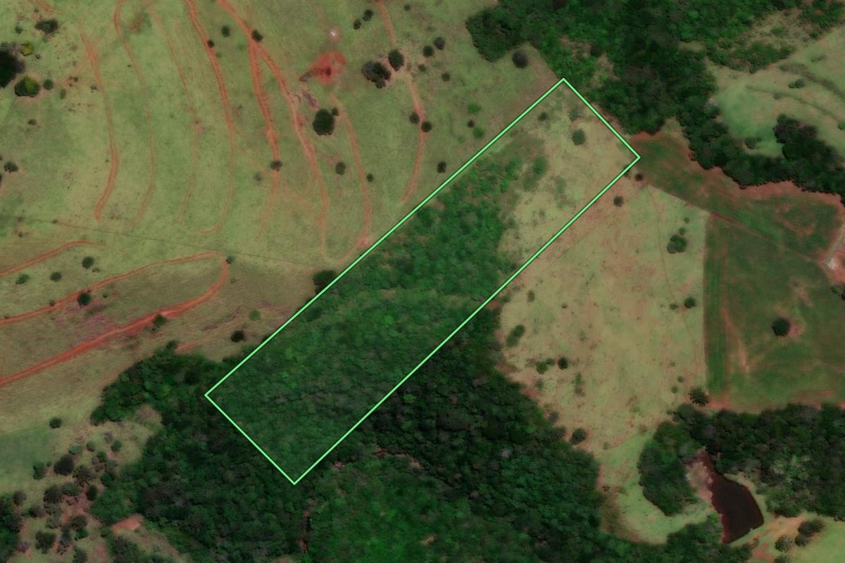 Imagem de satélite do imóvel rural em Nova Laranjeiras (PR), com o contorno declarado no CAR desenhado por cima.