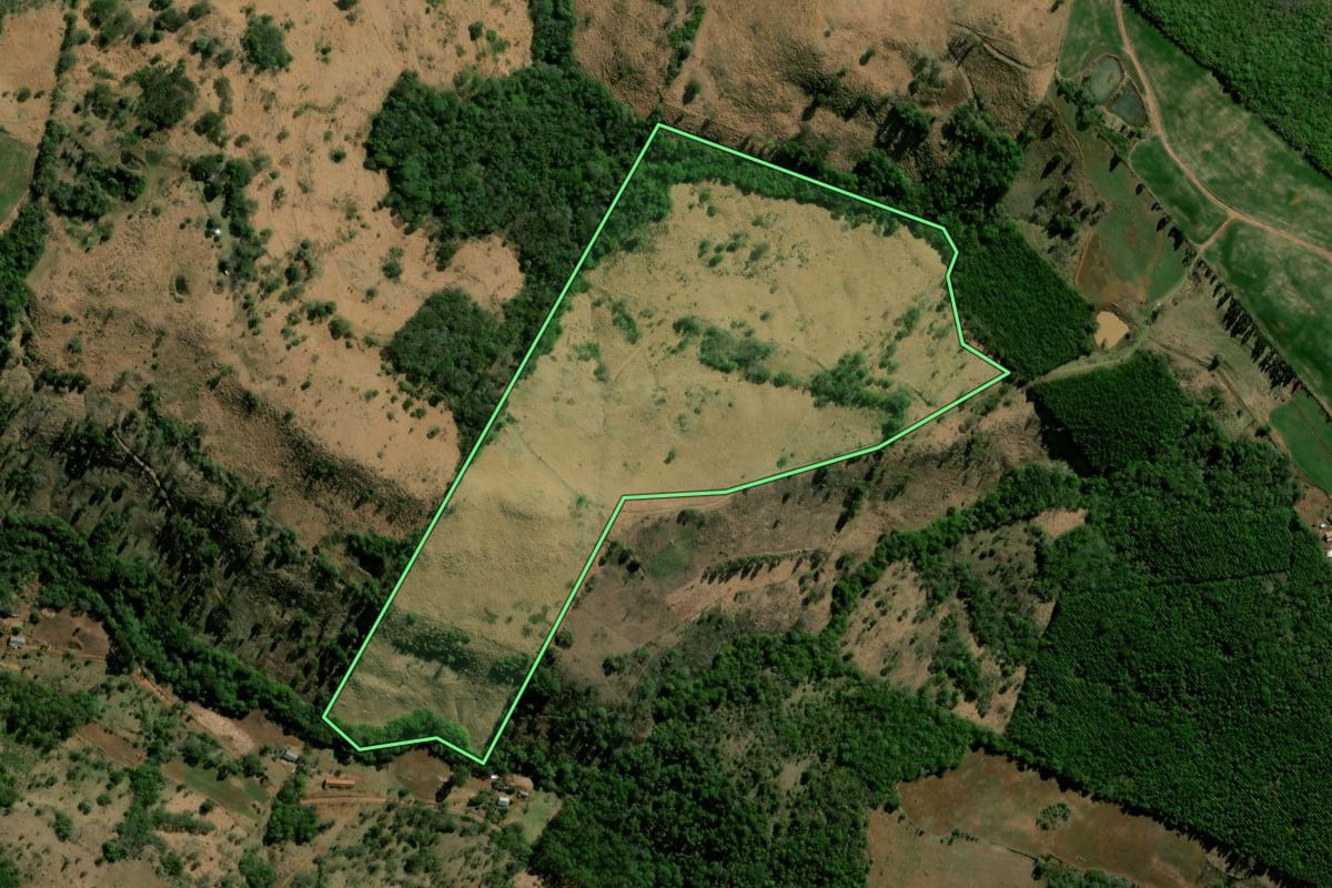 Imagem de satélite do imóvel rural em Nova Laranjeiras (PR), com o contorno declarado no CAR desenhado por cima.