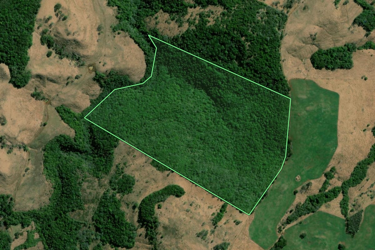Imagem de satélite do imóvel rural em Nova Laranjeiras (PR), com o contorno declarado no CAR desenhado por cima.
