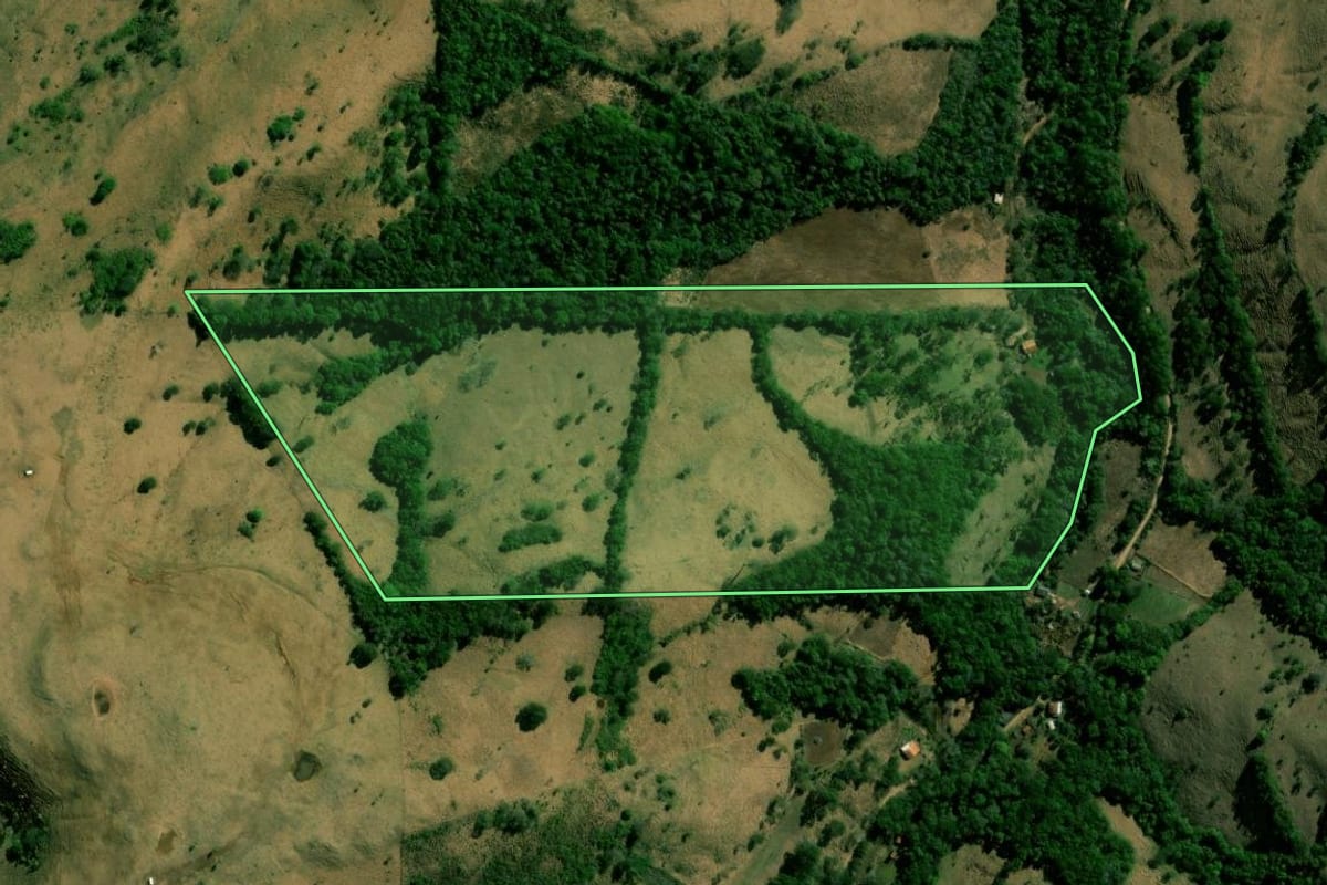 Imagem de satélite do imóvel rural em Nova Laranjeiras (PR), com o contorno declarado no CAR desenhado por cima.