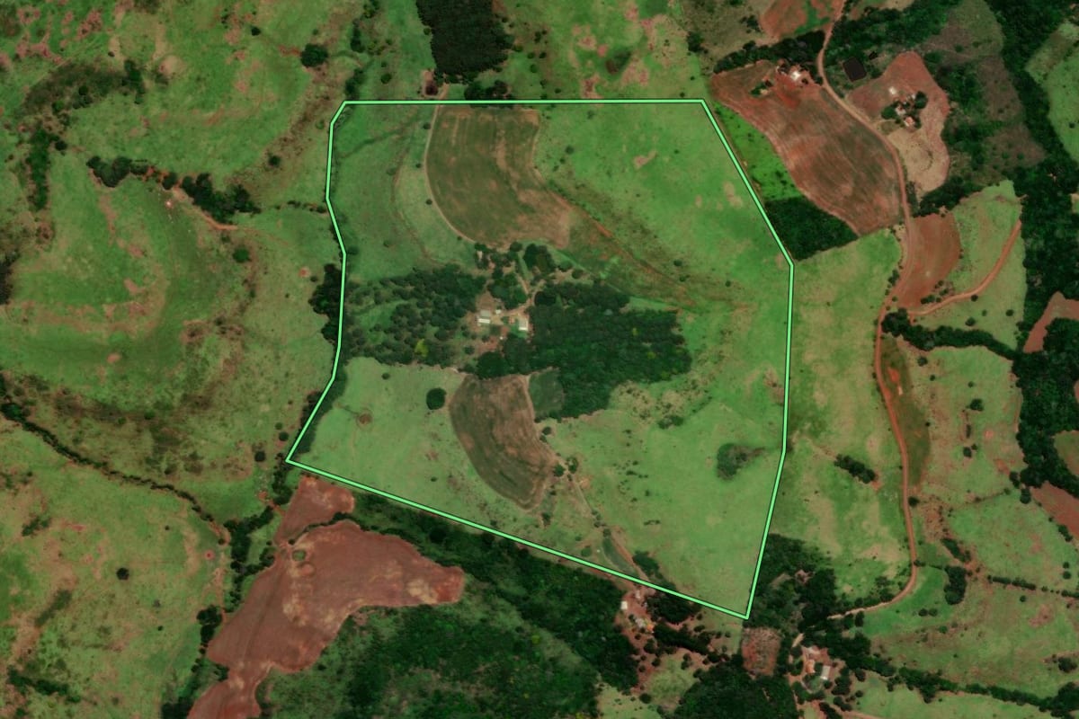Imagem de satélite do imóvel rural em Nova Laranjeiras (PR), com o contorno declarado no CAR desenhado por cima.