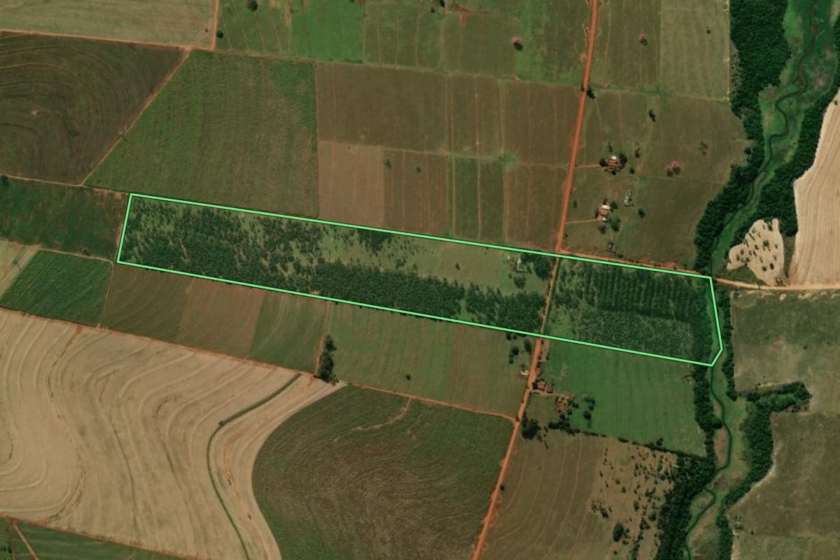 Imagem de satélite do imóvel rural em Nova Londrina (PR), com o contorno declarado no CAR desenhado por cima.