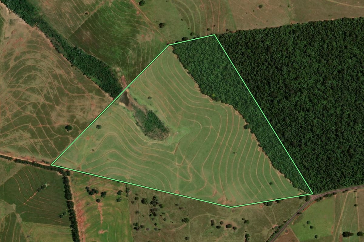 Imagem de satélite do imóvel rural em Nova Olímpia (PR), com o contorno declarado no CAR desenhado por cima.