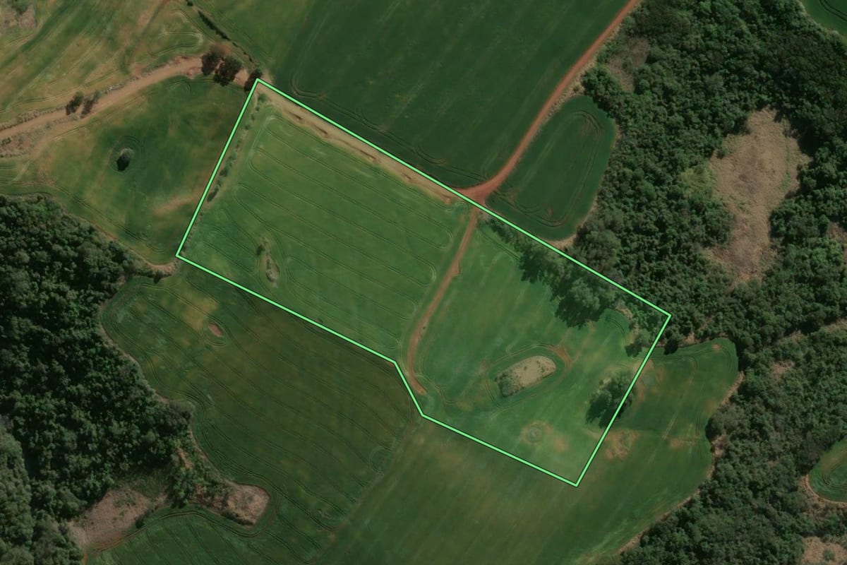 Imagem de satélite do imóvel rural em Nova Santa Bárbara (PR), com o contorno declarado no CAR desenhado por cima.