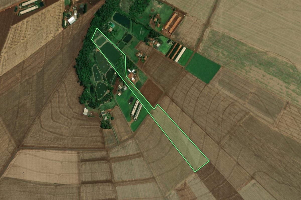 Imagem de satélite do imóvel rural em Nova Santa Rosa (PR), com o contorno declarado no CAR desenhado por cima.