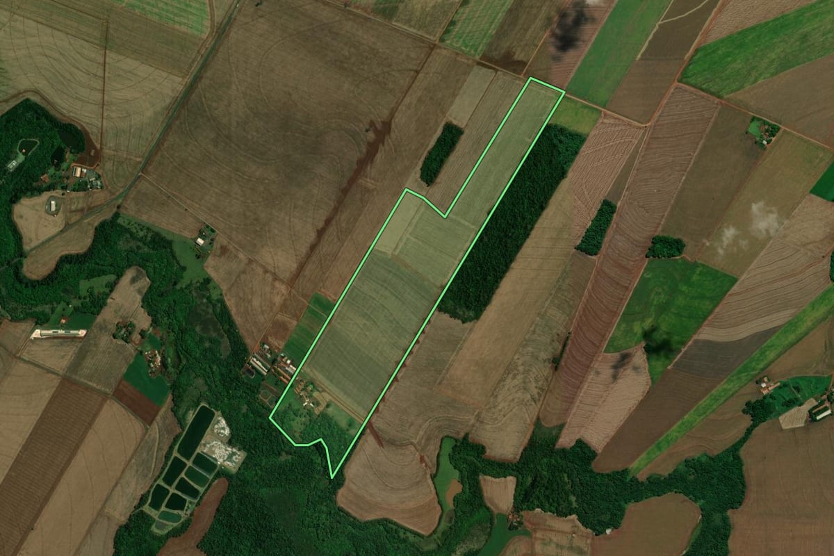 Imagem de satélite do imóvel rural em Nova Santa Rosa (PR), com o contorno declarado no CAR desenhado por cima.