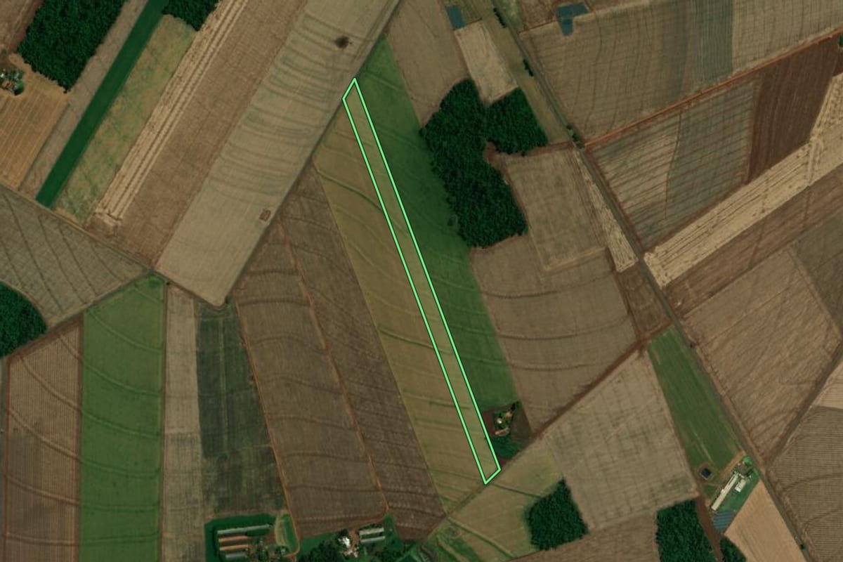 Imagem de satélite do imóvel rural em Nova Santa Rosa (PR), com o contorno declarado no CAR desenhado por cima.