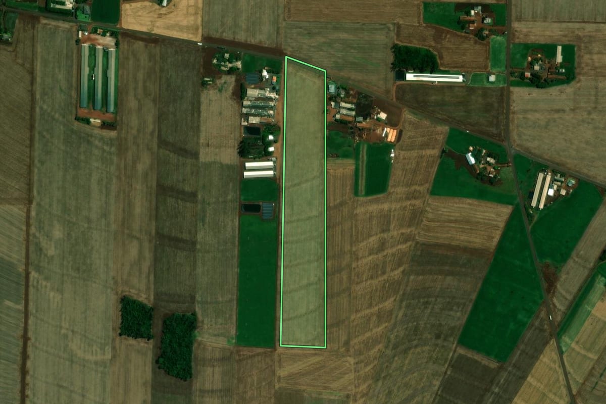Imagem de satélite do imóvel rural em Nova Santa Rosa (PR), com o contorno declarado no CAR desenhado por cima.