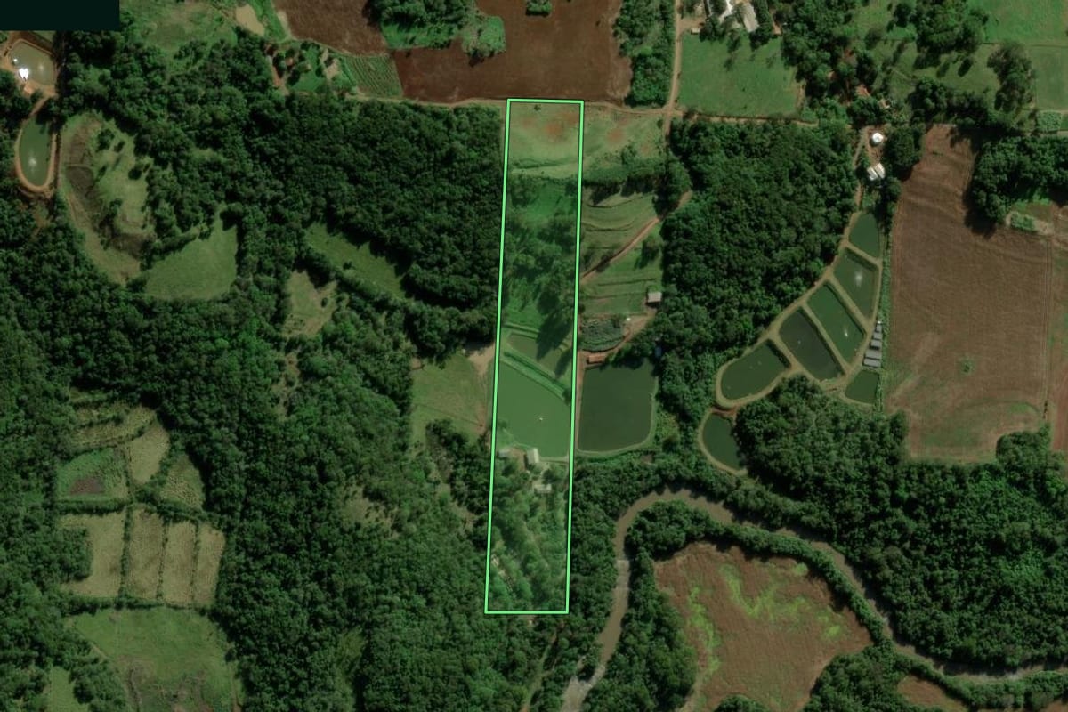 Imagem de satélite do imóvel rural em Nova Santa Rosa (PR), com o contorno declarado no CAR desenhado por cima.