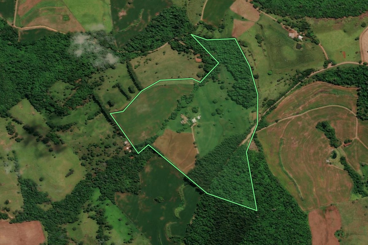 Imagem de satélite do imóvel rural em Nova Prata do Iguaçu (PR), com o contorno declarado no CAR desenhado por cima.