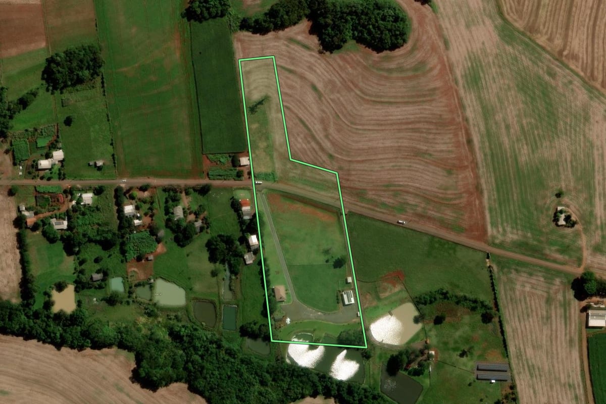 Imagem de satélite do imóvel rural em Nova Prata do Iguaçu (PR), com o contorno declarado no CAR desenhado por cima.