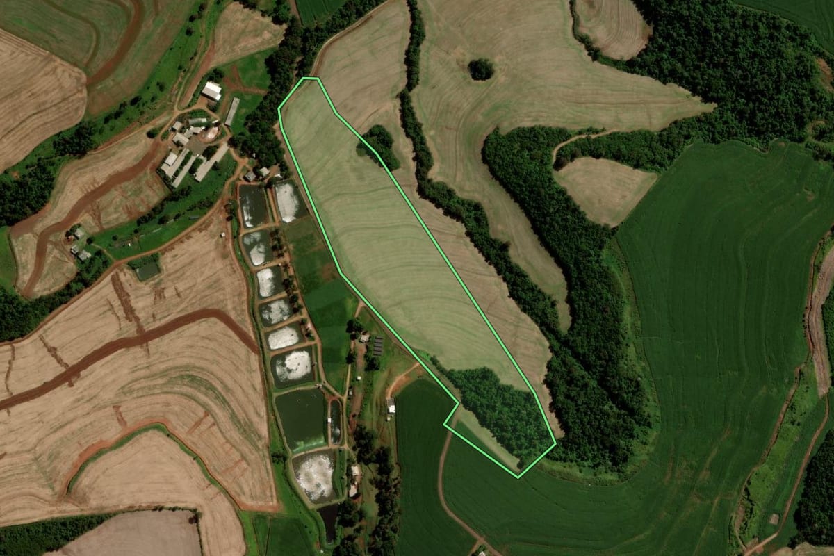 Imagem de satélite do imóvel rural em Nova Prata do Iguaçu (PR), com o contorno declarado no CAR desenhado por cima.