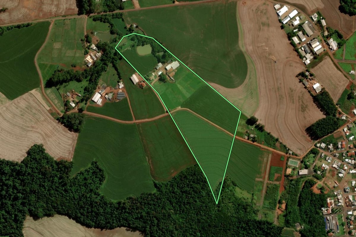 Imagem de satélite do imóvel rural em Nova Prata do Iguaçu (PR), com o contorno declarado no CAR desenhado por cima.