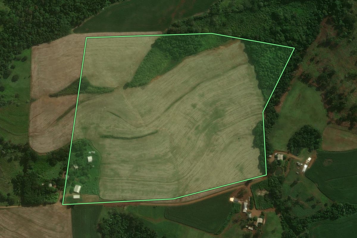 Imagem de satélite do imóvel rural em Nova Prata do Iguaçu (PR), com o contorno declarado no CAR desenhado por cima.
