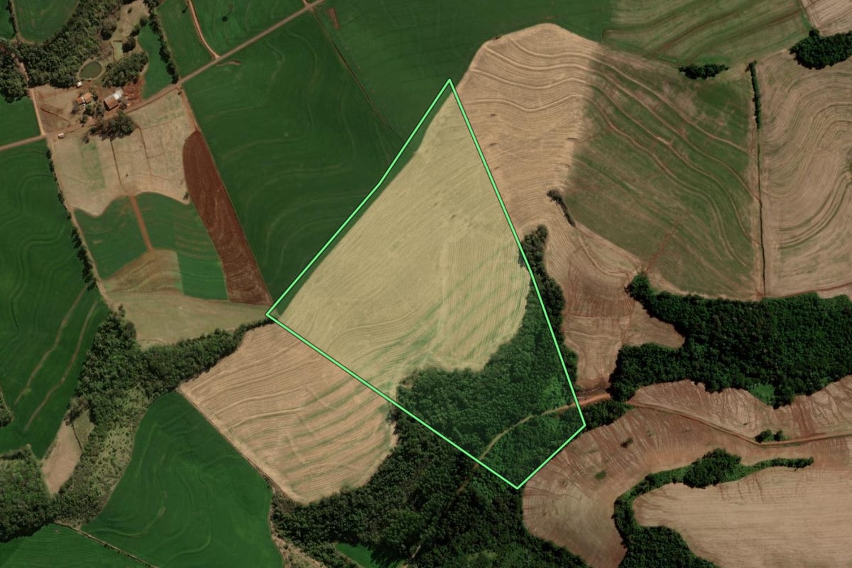 Imagem de satélite do imóvel rural em Nova Prata do Iguaçu (PR), com o contorno declarado no CAR desenhado por cima.