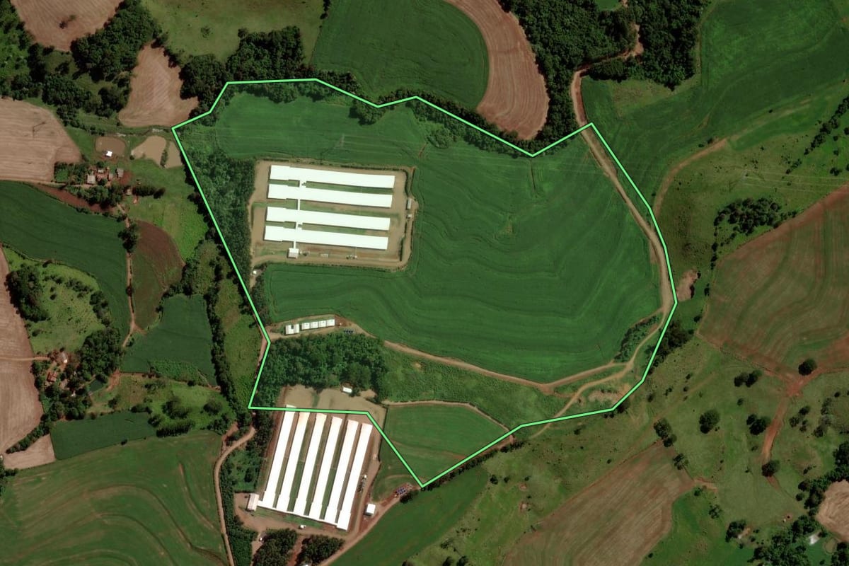Imagem de satélite do imóvel rural em Nova Prata do Iguaçu (PR), com o contorno declarado no CAR desenhado por cima.