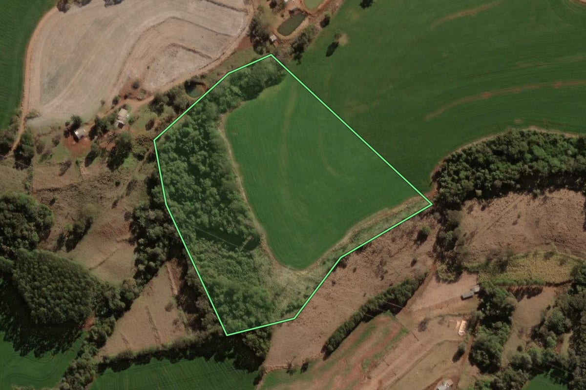 Imagem de satélite do imóvel rural em Nova Prata do Iguaçu (PR), com o contorno declarado no CAR desenhado por cima.