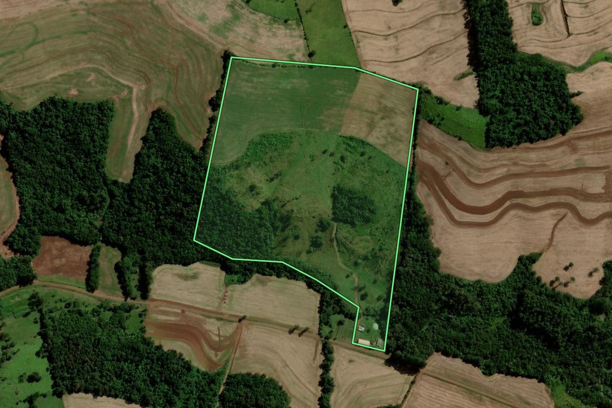 Imagem de satélite do imóvel rural em Nova Prata do Iguaçu (PR), com o contorno declarado no CAR desenhado por cima.