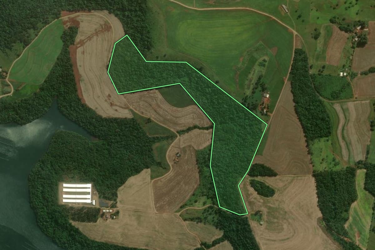 Imagem de satélite do imóvel rural em Nova Prata do Iguaçu (PR), com o contorno declarado no CAR desenhado por cima.
