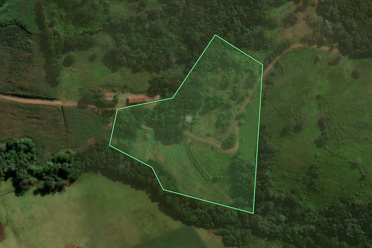Imagem de satélite do imóvel rural em Nova Prata do Iguaçu (PR), com o contorno declarado no CAR desenhado por cima.