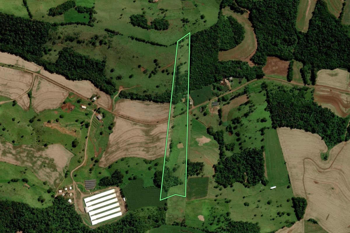 Imagem de satélite do imóvel rural em Nova Prata do Iguaçu (PR), com o contorno declarado no CAR desenhado por cima.