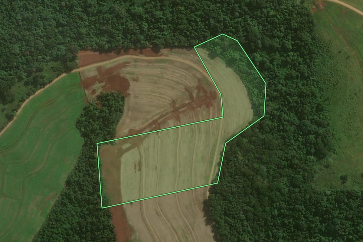 Imagem de satélite do imóvel rural em Nova Prata do Iguaçu (PR), com o contorno declarado no CAR desenhado por cima.