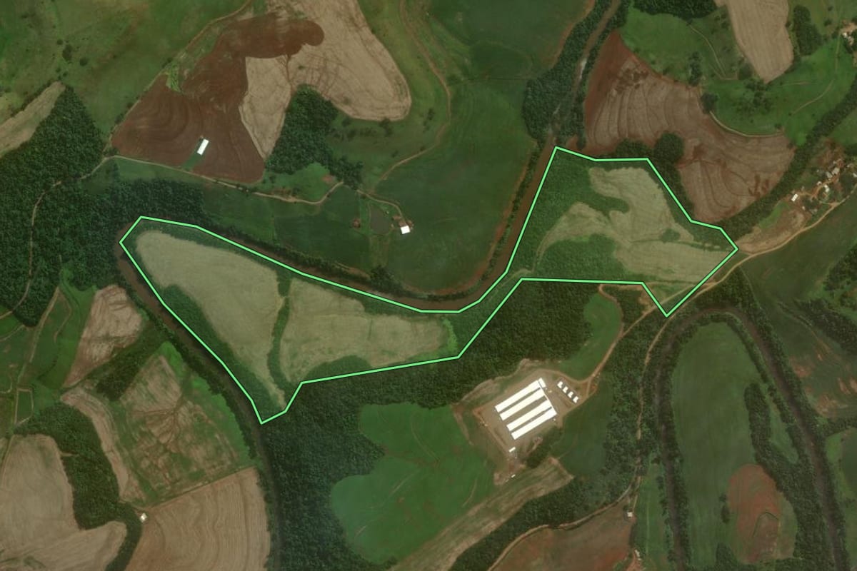 Imagem de satélite do imóvel rural em Nova Prata do Iguaçu (PR), com o contorno declarado no CAR desenhado por cima.