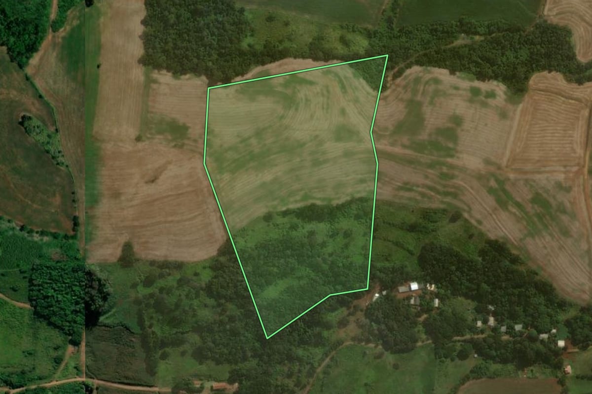 Imagem de satélite do imóvel rural em Nova Prata do Iguaçu (PR), com o contorno declarado no CAR desenhado por cima.