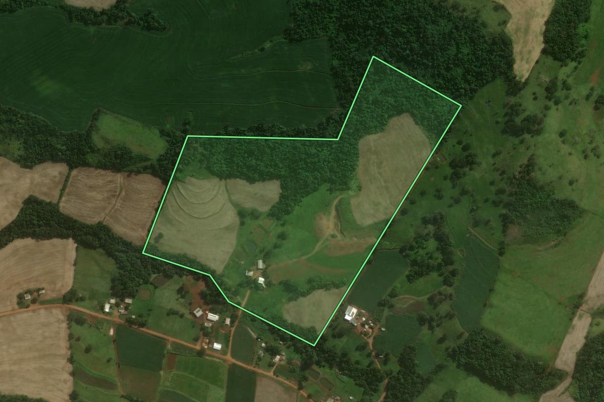 Imagem de satélite do imóvel rural em Nova Prata do Iguaçu (PR), com o contorno declarado no CAR desenhado por cima.