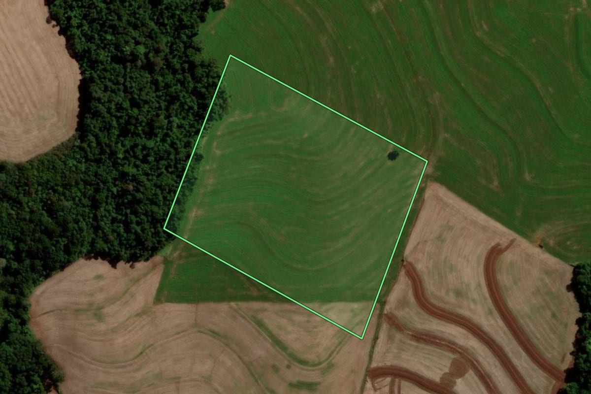 Imagem de satélite do imóvel rural em Nova Prata do Iguaçu (PR), com o contorno declarado no CAR desenhado por cima.