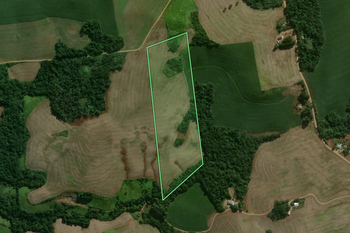 Imagem de satélite do imóvel rural em Nova Tebas (PR), com o contorno declarado no CAR desenhado por cima.