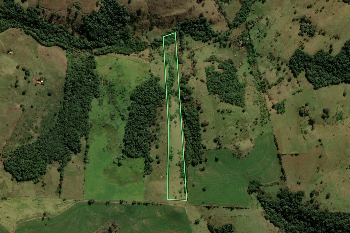Imagem de satélite do imóvel rural em Nova Tebas (PR), com o contorno declarado no CAR desenhado por cima.