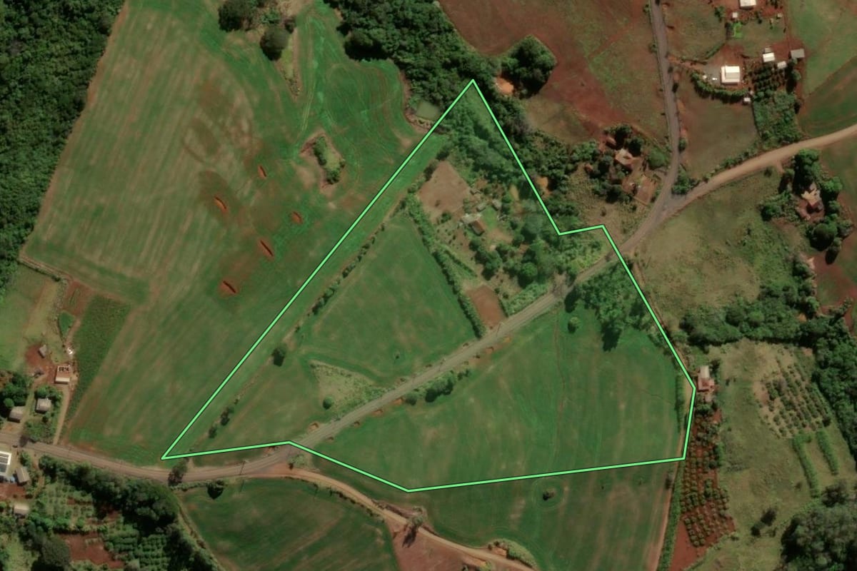 Imagem de satélite do imóvel rural em Nova Tebas (PR), com o contorno declarado no CAR desenhado por cima.
